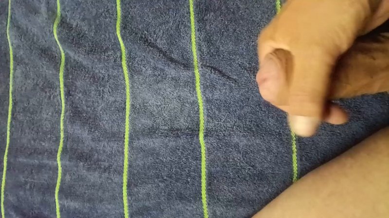 Watch Alice Dhorn hamster milf bj comp xxx — 32:56 milf clip